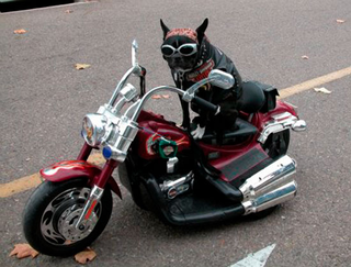 Via motorbiker.org